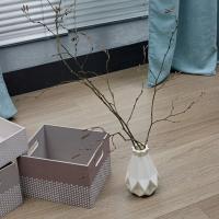 Ламинат Kastamonu Floorpan Wings FW007 Жако