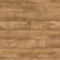 7876 Дуб Деревенский фото 3