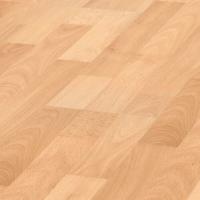 D 1407 Бук Королевский фото 1