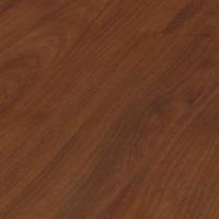 D 2986 Тик Борнео фото 1