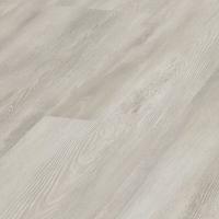 D 4127 Сосна Невада фото 1