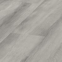 D 4781 Дуб Курганный фото 1