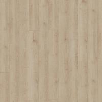 D 80922 Дуб Бельведер фото 1