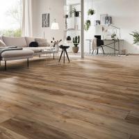 D 6007 Клён Каньон фото 1