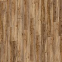 D 6007 Клён Каньон фото 2