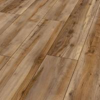 D 6007 Клён Каньон фото 3