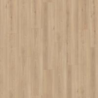 D 80912 Бук Натуральный фото 2
