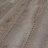 D 40762 Дуб Горный Титан фото 3