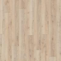 D 40772 Дуб Горный Песочный фото 2