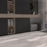 D 4738 Дуб Северный фото 0