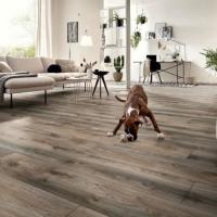 Ламинат Kronotex Mammut Plus D 4792 Дуб серый Макро