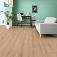 D 80592 Дуб Норфолк фото 0