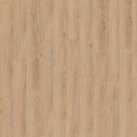 D 80592 Дуб Норфолк фото 2