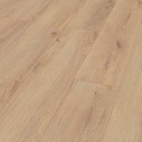 D 80592 Дуб Норфолк фото 3