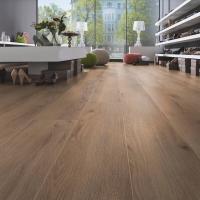 D 80622 Дуб Норфолк бронзовый фото 1