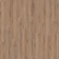 D 80622 Дуб Норфолк бронзовый фото 2