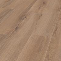 D 80622 Дуб Норфолк бронзовый фото 3