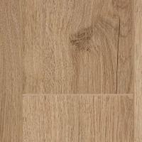 LM24 Дуб Салентино фото 1