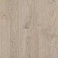 LM29 Дуб Каллисто фото 1