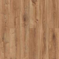 D50547 Дуб Ронта фото 0