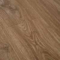 205 Дуб Руперт фото 2