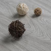 303 Дуб Батист фото 0