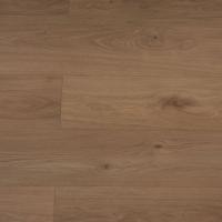 818 Дуб Медовый фото 3