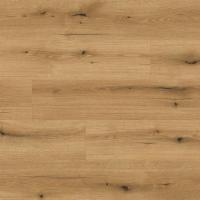 K5573 VS Oak Evoke Coast фото 1