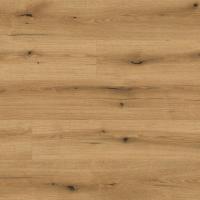 K5573 VS Oak Evoke Coast фото 3