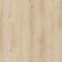 D50117 Дуб Дамиан фото 1