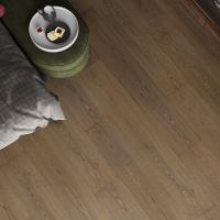 MS7412 Дуб Этери фото 1