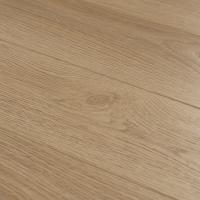 MS7208 Дана фото 2