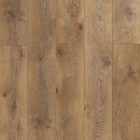 MS2912 Дуб Кёльн фото 2