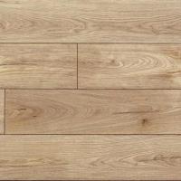 MS510 Дуб Песочный фото 1