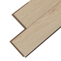 LNH 2-1 Дуб Лацио фото 2