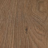 LNH 2-7 Дуб Мендальный фото 3