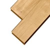 LNH 3-2 Дуб Тулуза фото 2