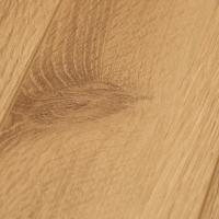 LNH 1-7 Дуб Шервуд фото 2