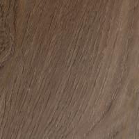 LNH 5-10 Площадь Гарибальди фото 2