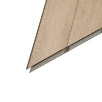 LNH 5-2 Дуб Голд фото 3