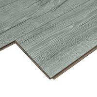 ROC03 Вяз Фишер фото 1