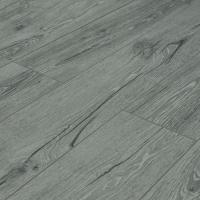 ROC03 Вяз Фишер фото 2