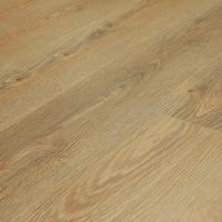 ROC09 Вяз Альбрехт фото 1