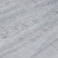 ROC43 Дуб Баярд фото 1