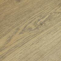 ROC49 Дуб Гилберт фото 2