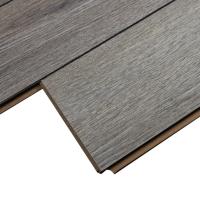 ROC74 Дуб Пеллегрин фото 3