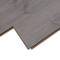 ROC78 Дуб Медичи фото 3