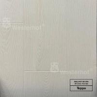 nf09 Терра фото 1