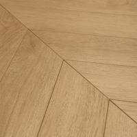 Ch152 Дуб Зорро фото 1