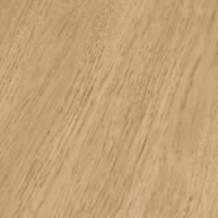 Ch152 Дуб Зорро фото 2